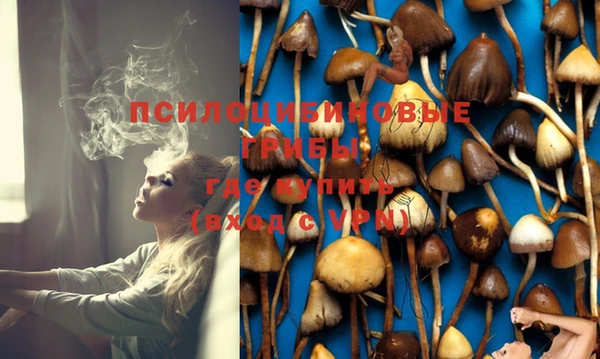 эйфоретик Алексин