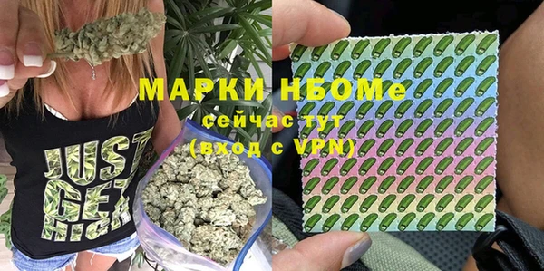 эйфоретик Алексин