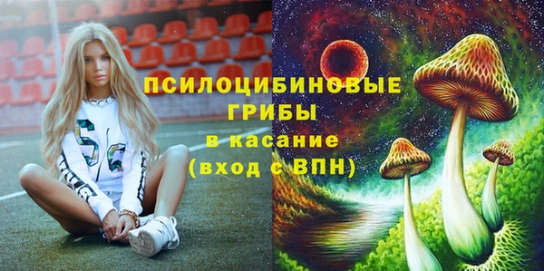 СК Алексеевка