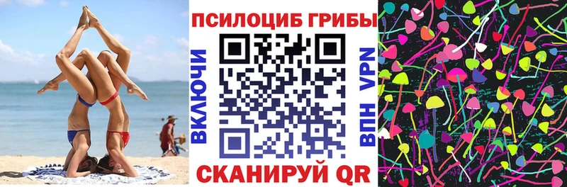 цены   Чадан  Галлюциногенные грибы прущие грибы 